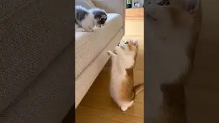 so sweet