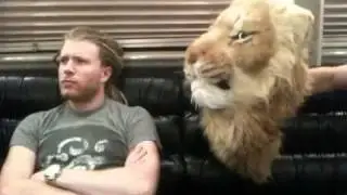 Creeping Lion