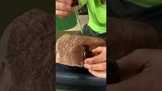 ASMR | brushing a rock&lsquo;s teeth ￼ #asmr