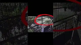 Paranormal Activity  #gost #bhoot #peranormalactivity #dengures #horror😲😲👻👻