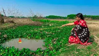 Fishing Video || The Village Lady Knows the Best Technique and Bait to Fishing in Rice Field Canal