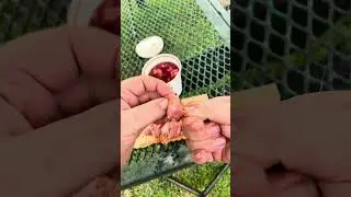 How to fish with liver #outdoors #cooking #fishing #shorts