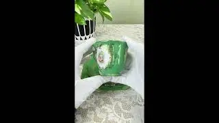 オールドノリタケ カップ＆ソーサー トリオ グリーン 窓図に花文様 金彩 マルキ印 里帰り品