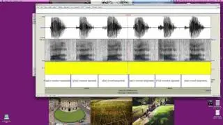 Basics of opening .wav and .TextGrid files in Praat