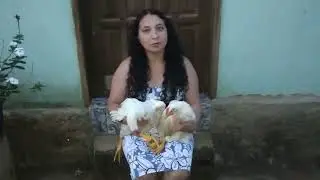 HOW TO SLAUGHTER A CHICKEN QUICKLY AND EASILY #realfarmlife