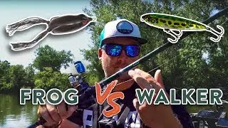 Topwater Lure Breakdown: WALKING Bait VS. Hollow Body FROG