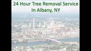 24 hr emergency tree removal service albany ny | 518-217-2535