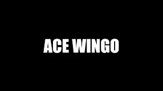 Ace Wingo Disc Golfer