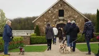Get Leashed Getaways Beamsville Bench Dog-Friendly Wine Tour