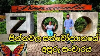 පින්නවල සත්වෝද්‍යානයේ අපූරු සංචාරය | Pinnawala Zoo | Rambukkana