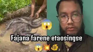 😱🐠 Nga faba yengminnasi ngasidi | Swaida oiradi kok-lu kainarani munnabada |Fishing video reaction 💥