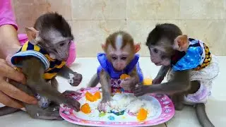 Kelsi Surely Enjoy The Noon Snack With Queen Kodo & Kola,
