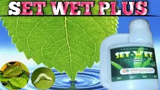 Set WET Plus gond ka istemal kaise kare|eska price or dose kya hai