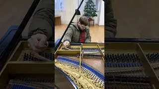 Настройка рояля Блютнер