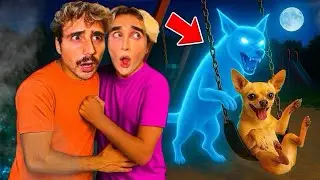 WE CAUGHT OUR DOG PLAYING WITH HIS IMAGINARY FRIEND&hellip;😱
