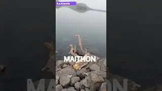 MAITHON  || one day tour from KOLKATA || #shortsfeed #shorts #shortfeed #ytshorts #india #travel