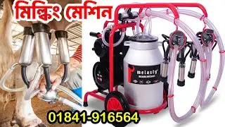 Milking machine price in Bangladesh | গরুর দুধ দোহনের মেশিন কিভাবে কাজ করে