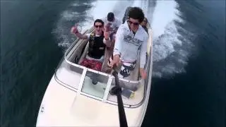 Dolphin Spotting UK Swimming with the boat! North Wales Bear Grylls Island