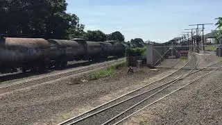 L&aacute; vem o trem! Maring&aacute; - PR - Brasil
