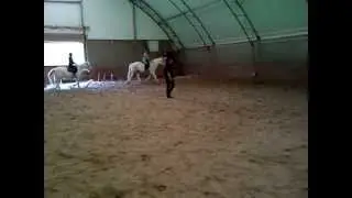 Mondays riding lesson at aldersbrook riding school.3GP