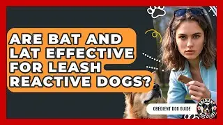 Are BAT And LAT Effective For Leash Reactive Dogs? - Obedient Dog Guide
