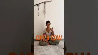Cat and Cow Breath work 🐈 #تمدد #mobility #yogae #breathingexercise #breathing