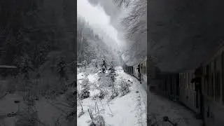 #🚂 #WinterTrain #SnowyAdventure #ScenicTravel #TravelVibes #WinterWonderland #RailwayJourney #❄️