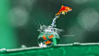 Creative Mobile photography ideas | editing Tutorial by imobileclicker