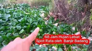 BAR - BAR !! 2 HARI BANJIR BADANG BUBU BELUTNYA JADI KORBAN TRAGIS AIR MELUAP | 114 |