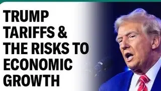 Trump's Tariffs: Impact on America, Global Economy & The Starlink Controversy| Global Economy