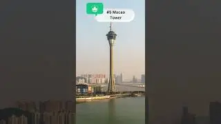 macau tower ,macau tower  tour,Top macau tower ,Best macau tower  Tour,macau tower bungee