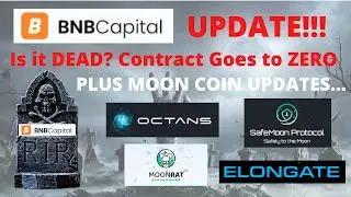 Отчёт о смерти BNB Capital | Обновления по OCTA Octans SafeMoon ElonGate MoonRat SMRAT MRAT Price Reports