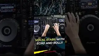 Vocal stabs and echo #shorts
