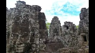 Faces in the Jungle