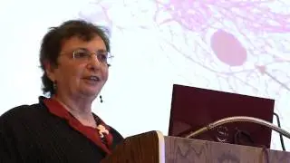 Breast Cancer &mdash; Environmental Exposures in Girls Increase Risks
