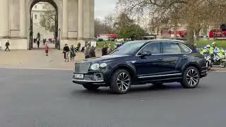 Unexpected Royal Sighting STOPS the Cavalry in Their Tracks!