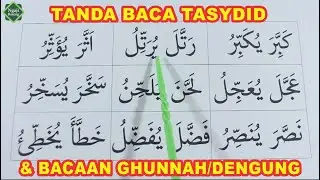 PENJELASAN LENGKAP TANDA BACA TASYDID DAN HUKUM BACAAN GHUNNAH - METODE CEPAT MEMBACA ALQURAN