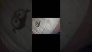 Mess in my diaper 🤭