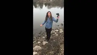 Do's and Don'ts of Interacting with Fox River Waterfowl