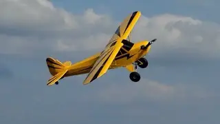 Giant 1/3 Scale RC Piper Cub