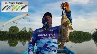 KERAPU MENYAMBAR GEWANG KAKI BARRA