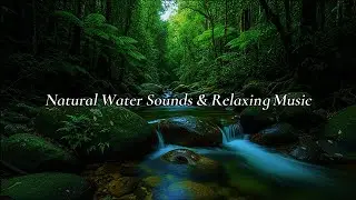 Relaxing Nature Sounds for Deep Sleep & Stress Relief