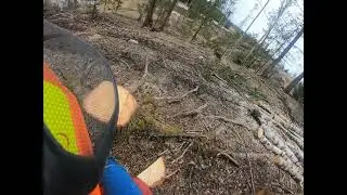 How to use a Chainsaw: The stump, tips and details