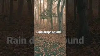 #uniquesounds