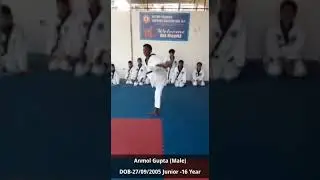 Fist National virtual hapkido tournament