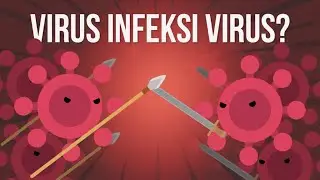 Bisakah Virus Menginfeksi Sesama Virus?