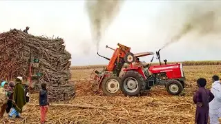 mf 385 tractor power stunts |  Massey Ferguson Tractors pulling load sugarcane trolley | 4k Ultra HD