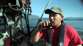 Harvesting Geoduck