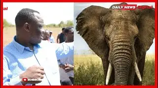 #TAZAMA| TAHARUKI TEMBO WAMUUA MZEE WA MIAKA 70, SERIKALI YAWABANA WAKUU WA IDARA YA WANYAMA