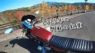 2025年の阿蘇の紅葉は別格です！！